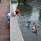 雲科餵鴨 024 雲科餵鴨 024