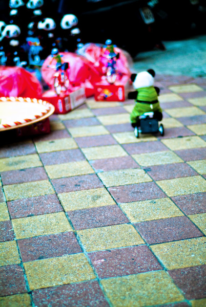 DSCF0082.jpg DSCF0082.jpg