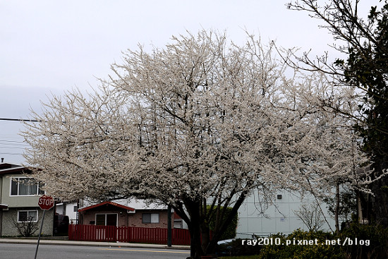 DSC_2723.jpg DSC_2723.jpg