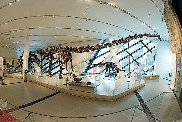 Wallpaper_barosaurus1