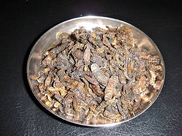 蟲乾(官網+水印小 蟲乾(官網+水印小