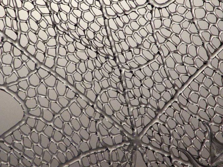 robertmickelsenglasssculptures6 robertmickelsenglasssculptures6