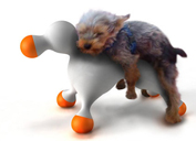 狗用娃娃 (Hotdoll)