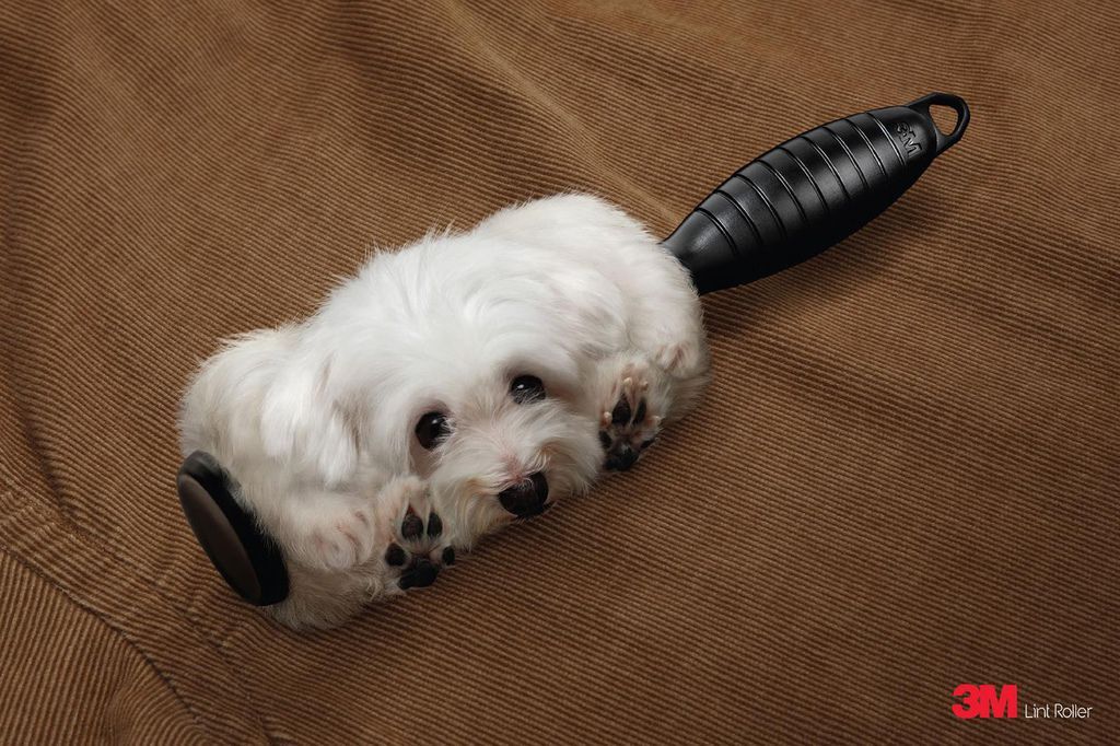 616960_449837488372060_1812054477_o 616960_449837488372060_1812054477_o