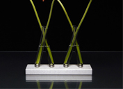 創意花瓶 (Adaptation Vases)