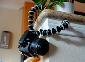 猩猩腳架 (Joby Gorillapod) 猩猩腳架 (Joby Gorillapod)