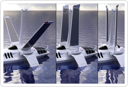 volitan3.png volitan3.png