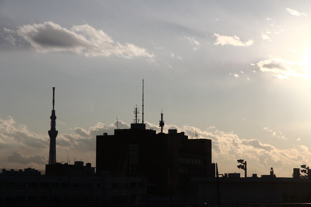 020126__146.JPG 020126__146.JPG