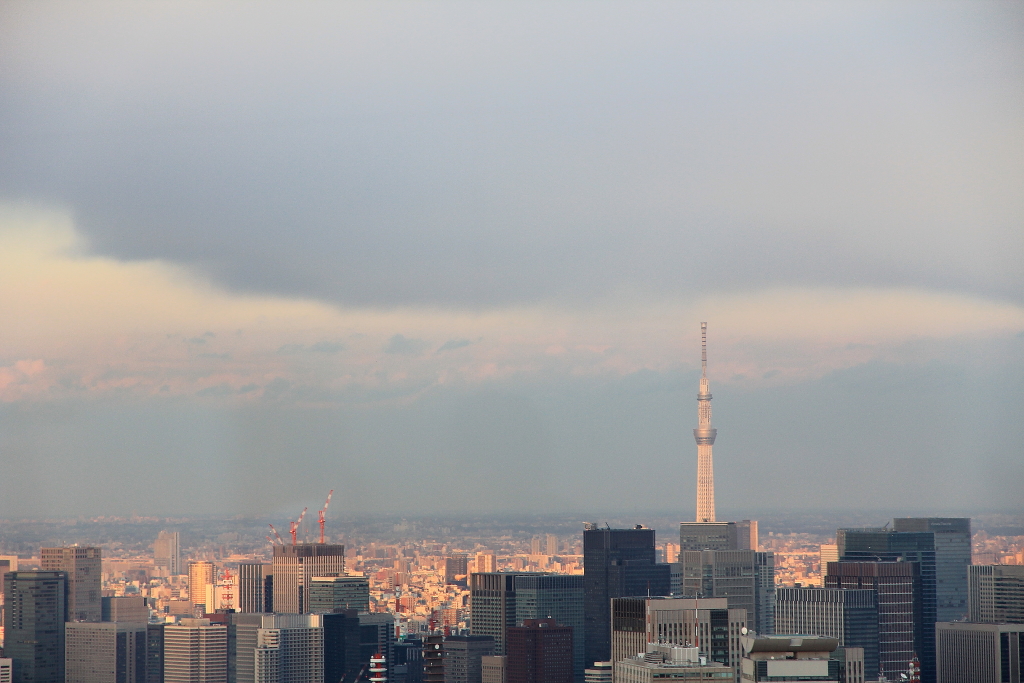 120127_534.JPG 120127_534.JPG
