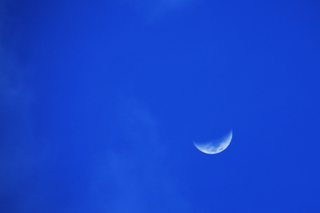 1110527_545.JPG 1110527_545.JPG