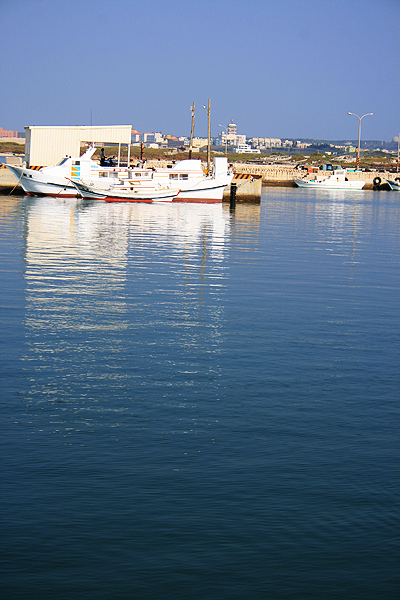 菊島 (154).jpg