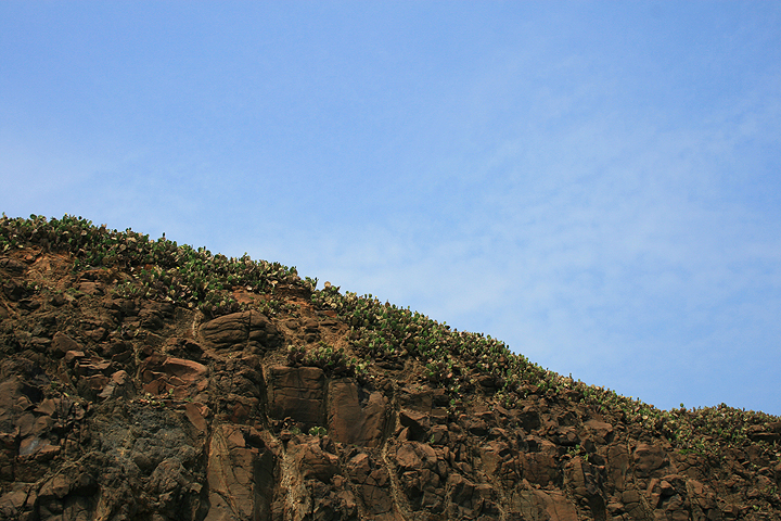 菊島 (42).jpg