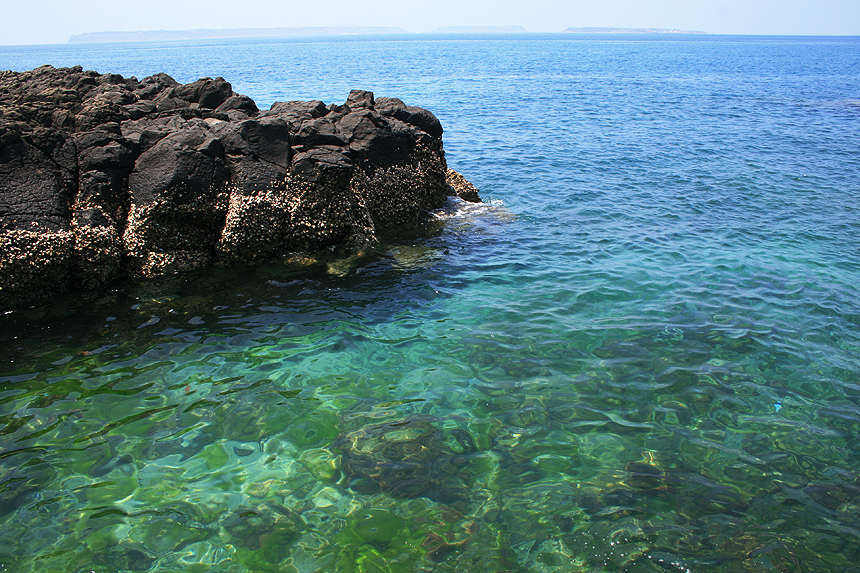 菊島 (53).jpg