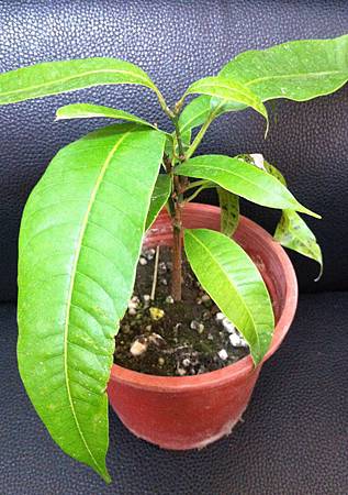 20150308_2 20150308_2