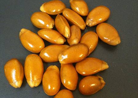 20121227_2 20121227_2