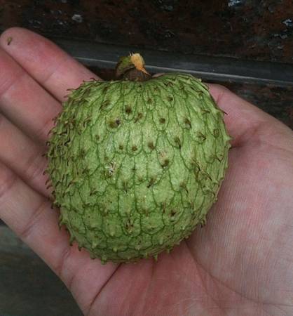 20121122_2 20121122_2