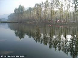 10590532_1828707834020546_2835632598219100751_n