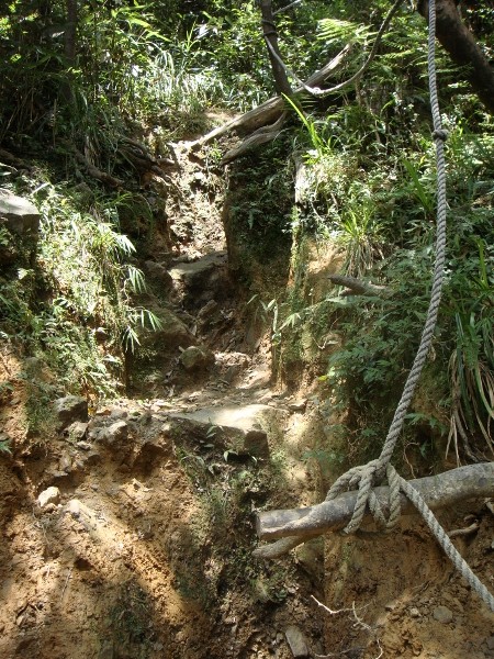 松羅湖登山步道(5).jpg 松羅湖登山步道(5).jpg