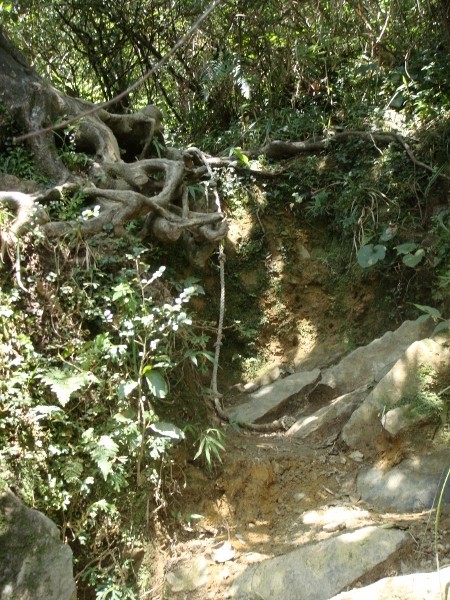 松羅湖登山步道(6).jpg 松羅湖登山步道(6).jpg