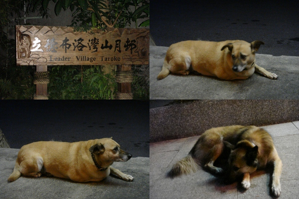 花蓮行 Day1 --- 山月邨(1).jpg