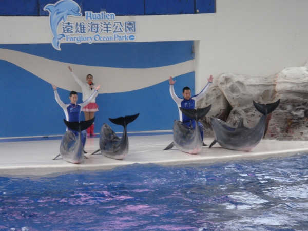 太魯閣路跑 Day1(16) 太魯閣路跑 Day1(16)