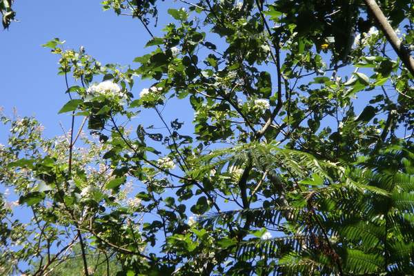 石門山風景(3).JPG 石門山風景(3).JPG