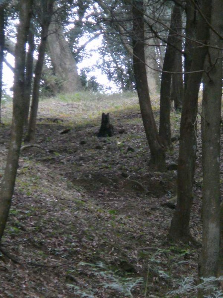 後慈湖景色(5)(像忠犬守護著後慈湖).JPG 後慈湖景色(5)(像忠犬守護著後慈湖).JPG