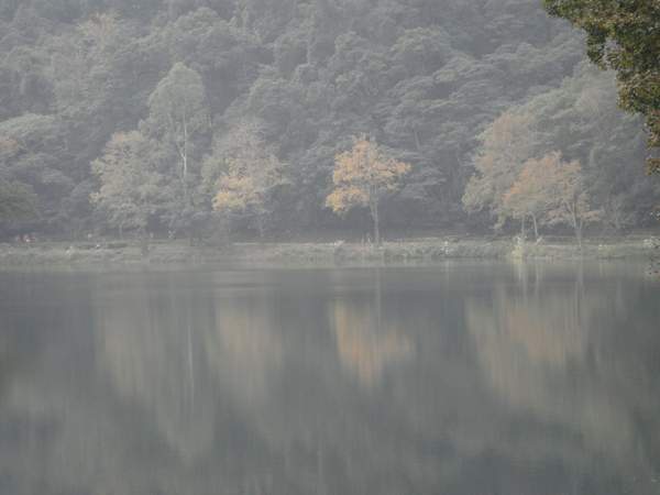 後慈湖景色(9).JPG 後慈湖景色(9).JPG