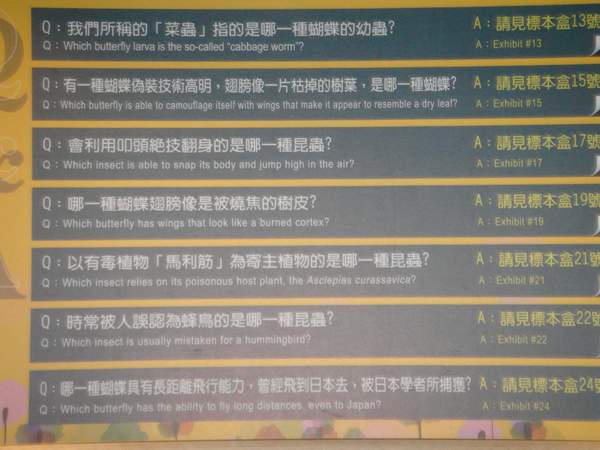 四號辦公室展示(2).JPG 四號辦公室展示(2).JPG