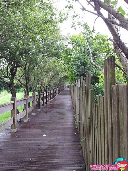 ♥ 旅遊♥ 宜蘭市羅東鎮【羅東林場文化園區】隱身城市裡的秘密