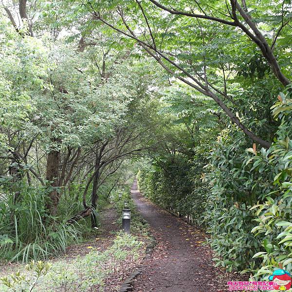 ♥ 旅遊♥ 宜蘭市羅東鎮【羅東林場文化園區】隱身城市裡的秘密