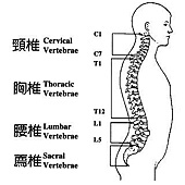 222349_198898030152466_137804452928491_484763_4311445_n.jpg