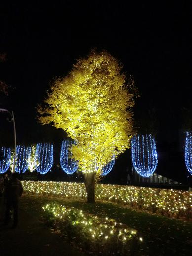 in六本木 in六本木