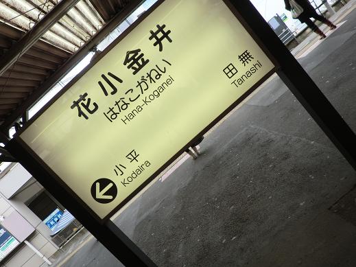 花小金井 花小金井