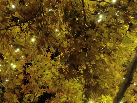 in六本木 in六本木