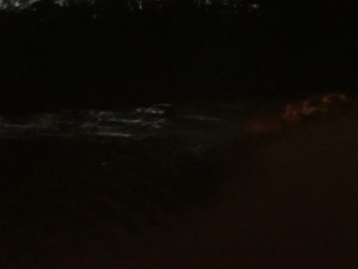 其實有鴨子在遊,還是兩隻 其實有鴨子在遊,還是兩隻