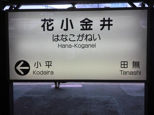 花小金井 花小金井