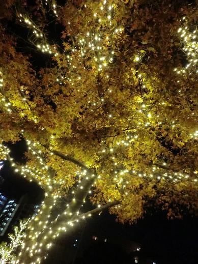 in六本木 in六本木