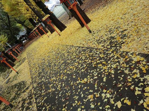 不過挺好看的 不過挺好看的