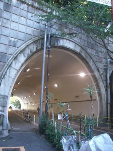 都市裡別有"洞"天 都市裡別有"洞"天