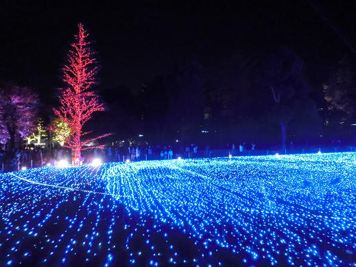 in六本木 in六本木