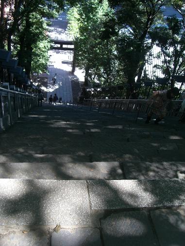 愛宕神社往下看 愛宕神社往下看