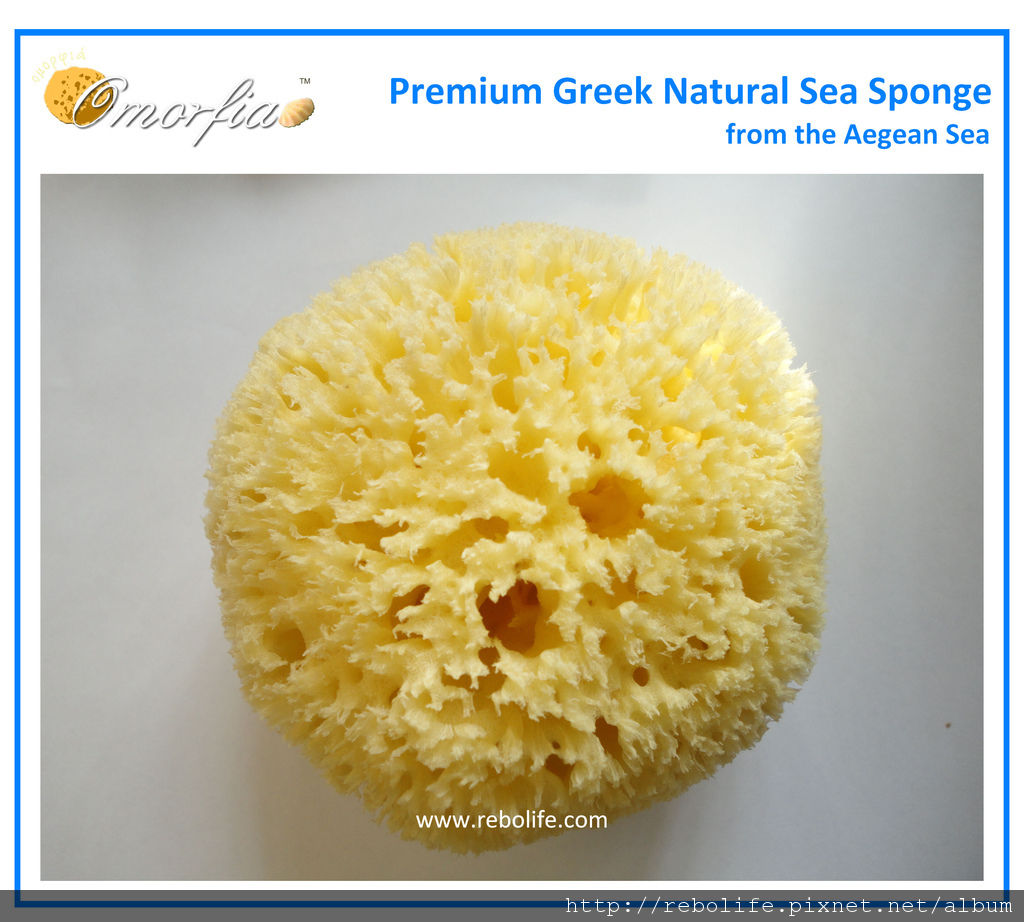 HC 4-4.5.jpg HC 4-4.5.jpg