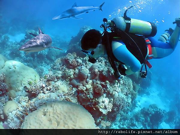 iStock_000001430676Small.jpg iStock_000001430676Small.jpg