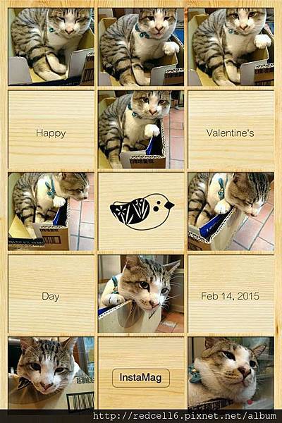 10998085_405521876289121_934574422520314293_n