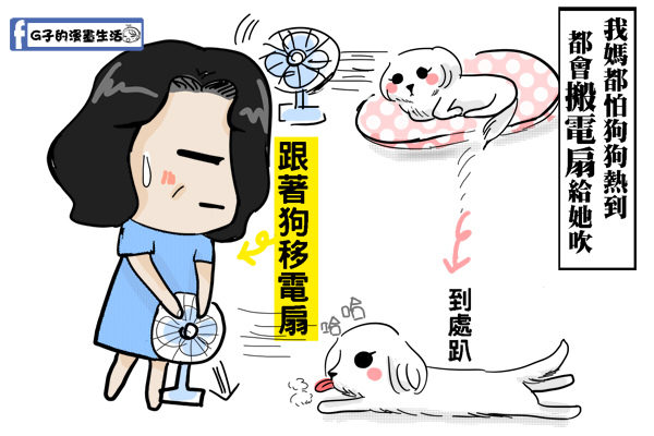 老媽對yuki的愛心電風扇2.jpg 老媽對yuki的愛心電風扇2.jpg