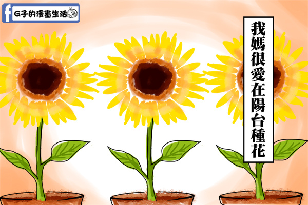 20141208媽媽植物向光性1.jpg 20141208媽媽植物向光性1.jpg