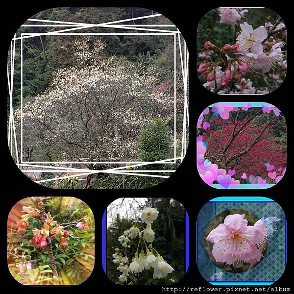 PicsArt_1422204640077 PicsArt_1422204640077