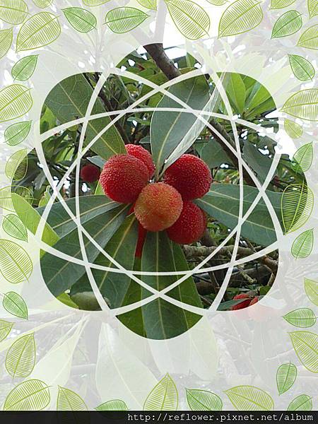 PicsArt_1431568760158