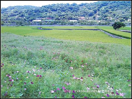 2011-06-19 13.17.53.jpg